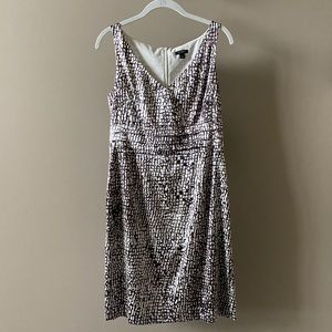 🍁 Ann Taylor Silk Shift